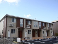 ｶｰｻ ﾌｨｵｰﾚ